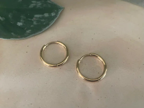 Stainless Steel Ronde oorbellen goud, 2 stuks, maat 14mm